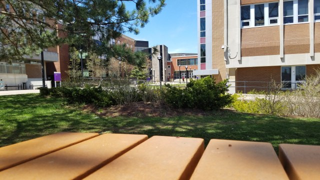 20190508_134614